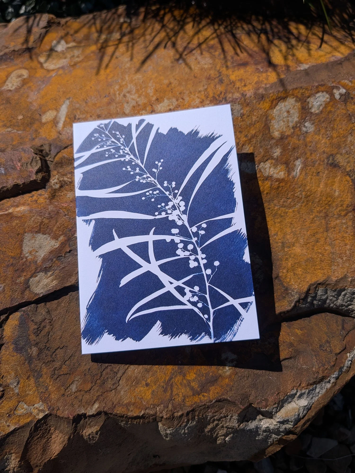 Cyanotype-Greeting-cards (6).jpg