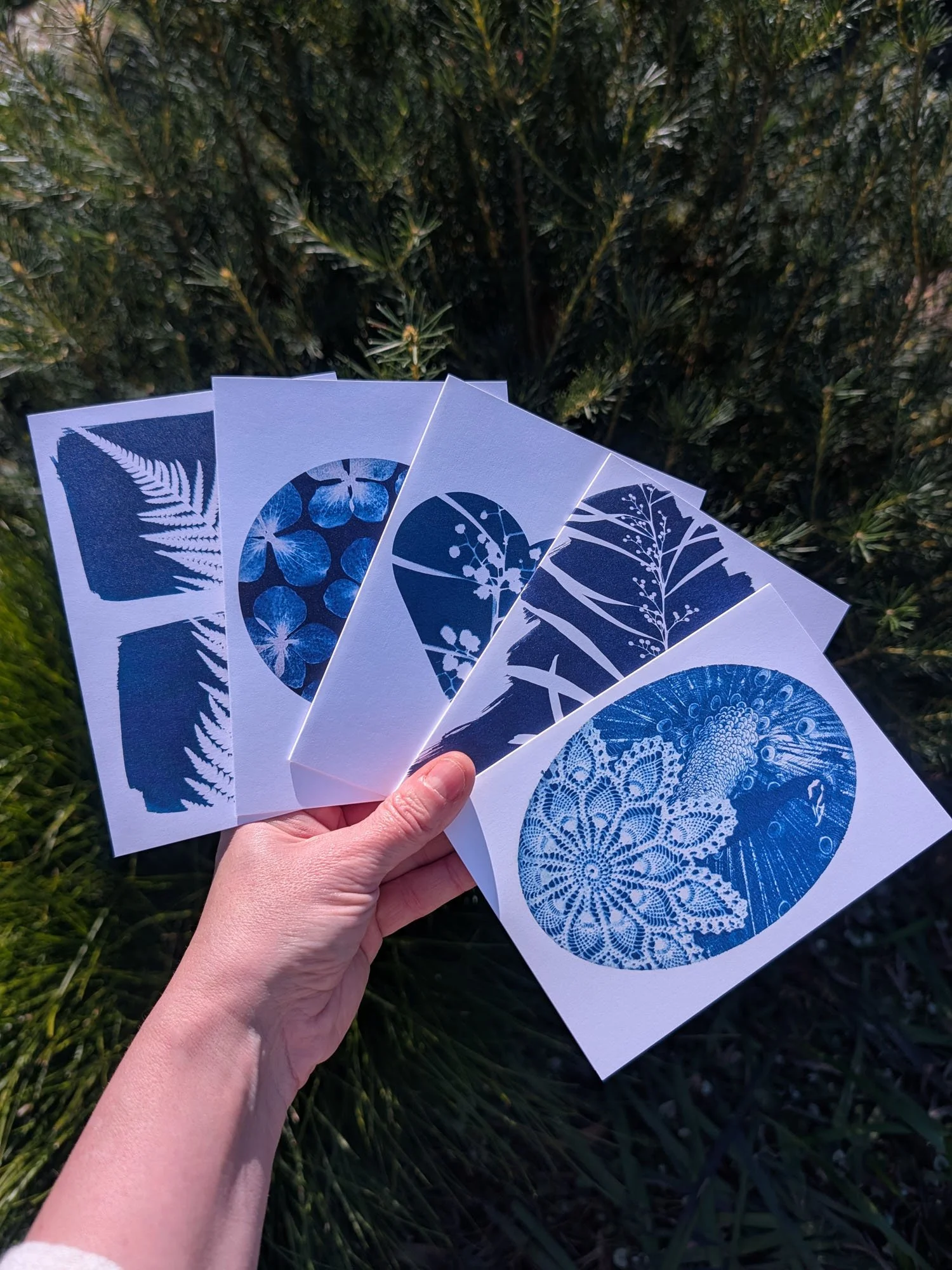 Cyanotype-Greeting-cards (1).jpg