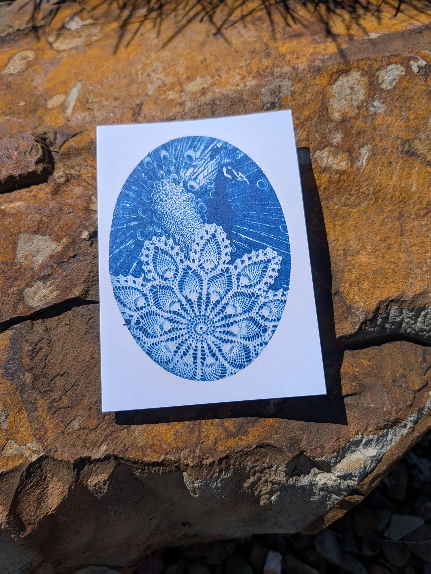 Cyanotype-Greeting-cards (2).jpg