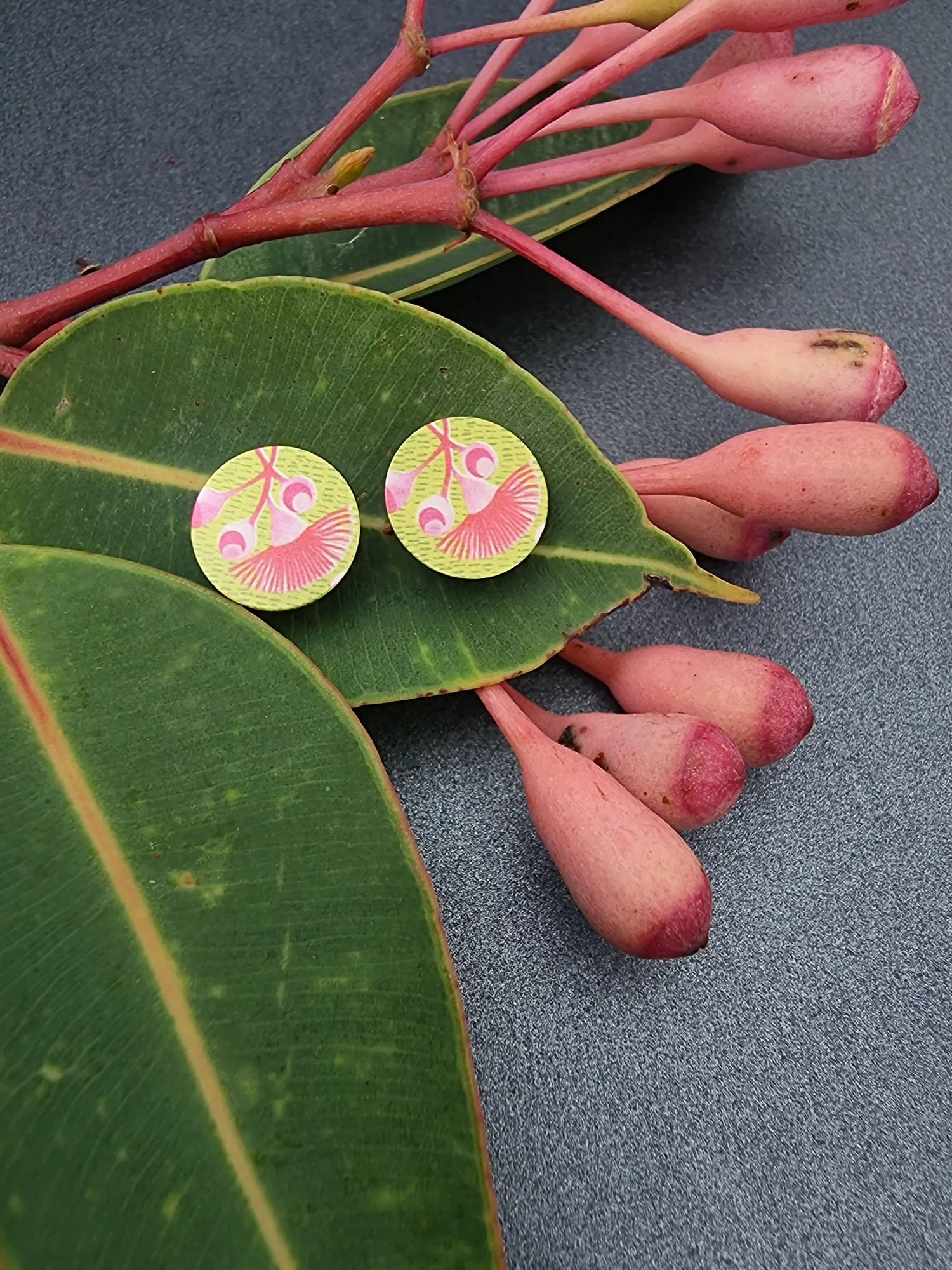 BUSH WALK – Gum Blossom disc studs