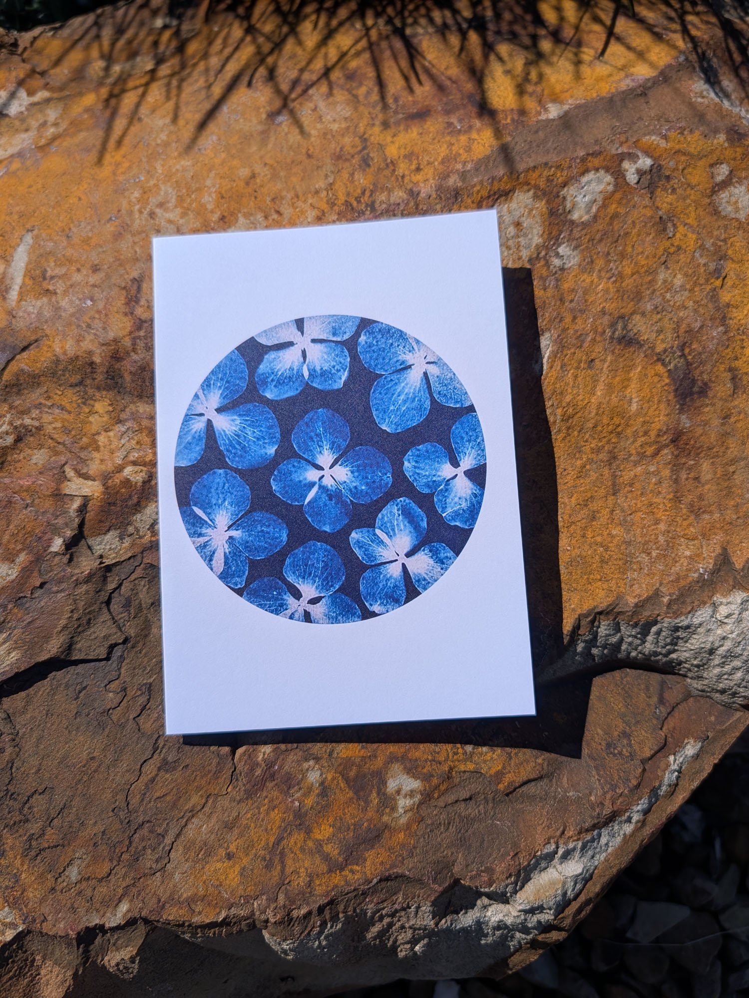 Cyanotype-Greeting-cards (8).jpg