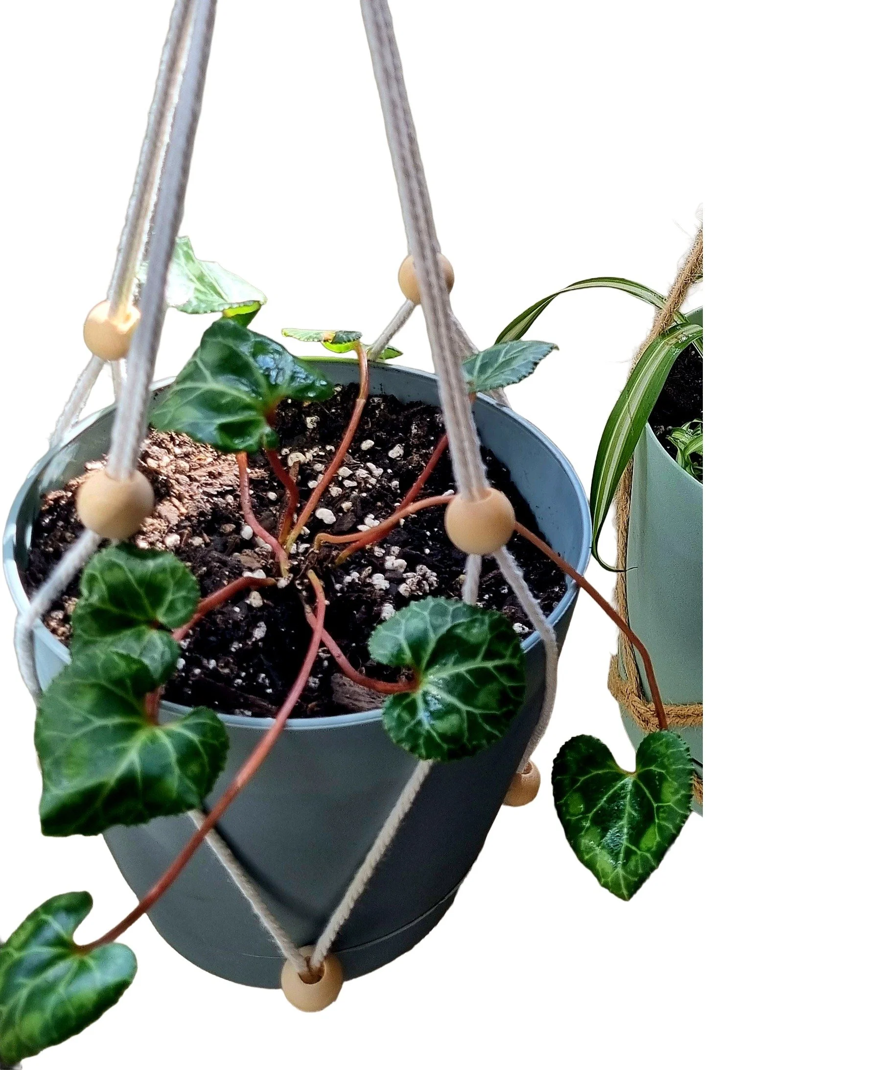 Hand-made macrame plant hanger