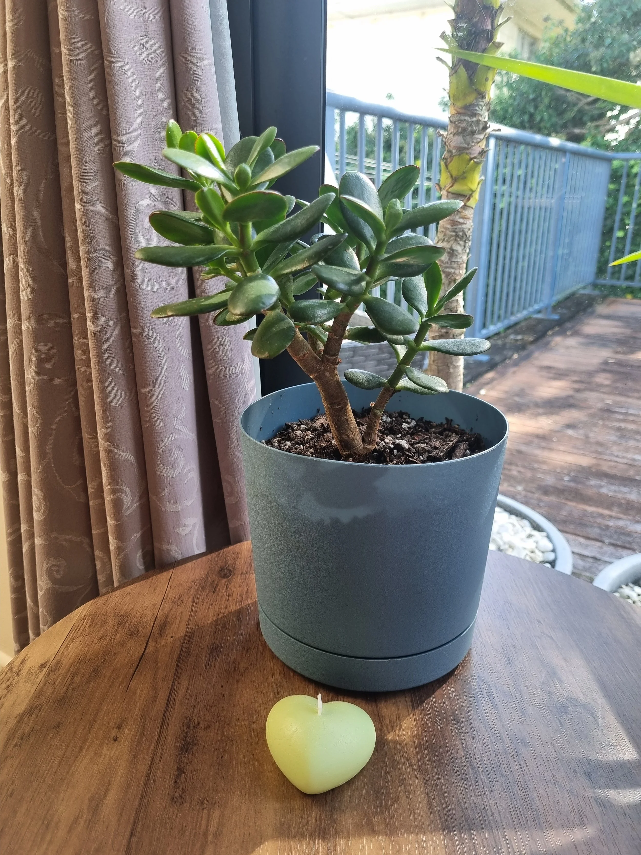 Mother’s Day Harmony Duo