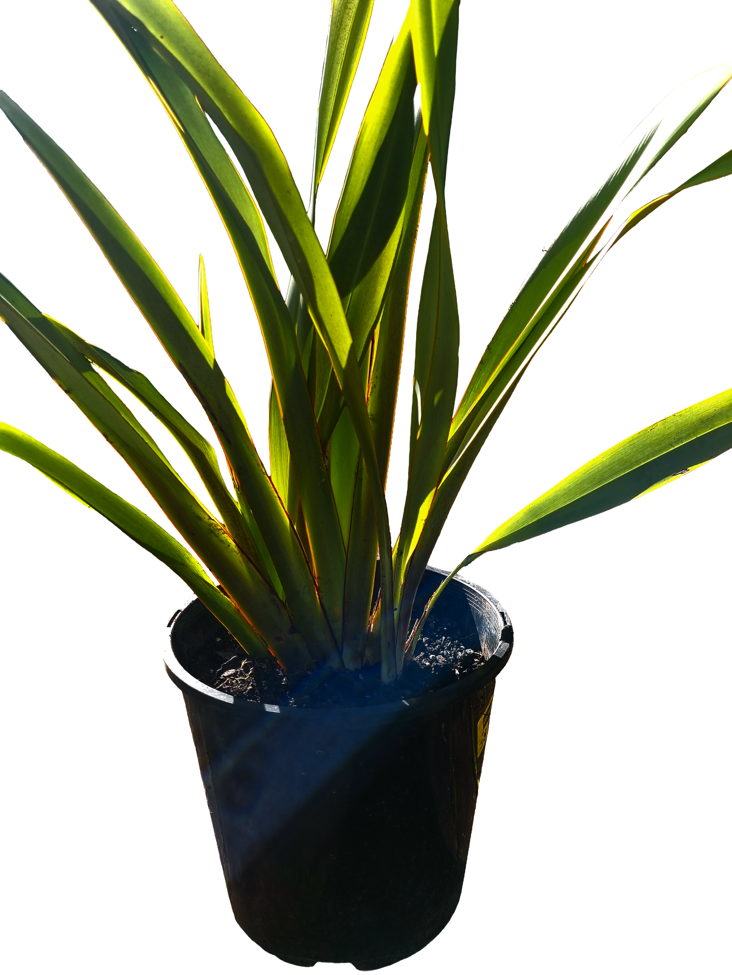 20260802_143919 (1).png