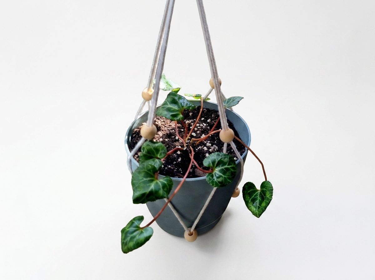 Handmade macrame plant hanger