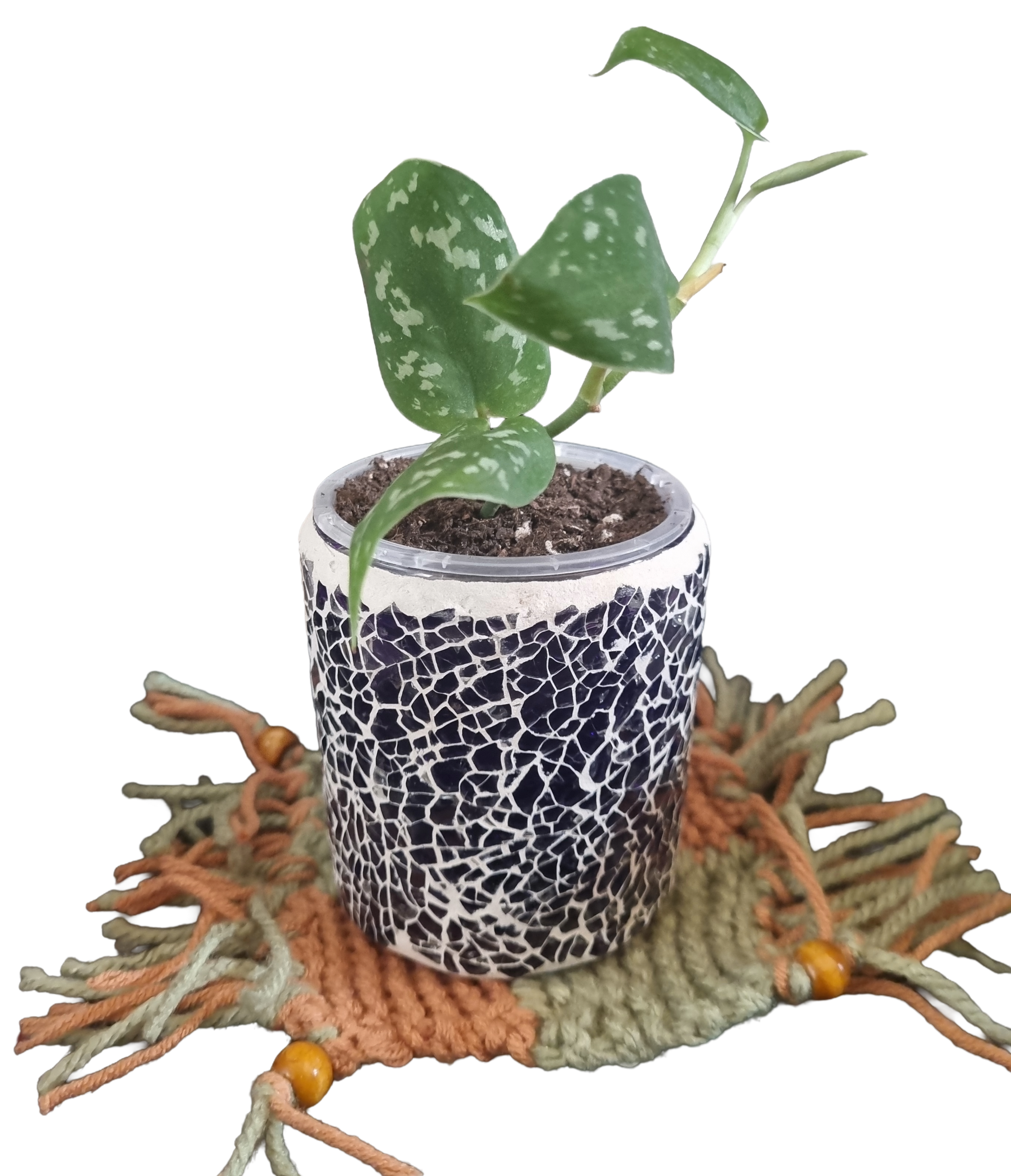 Boho Plant Mats — 2 Pack