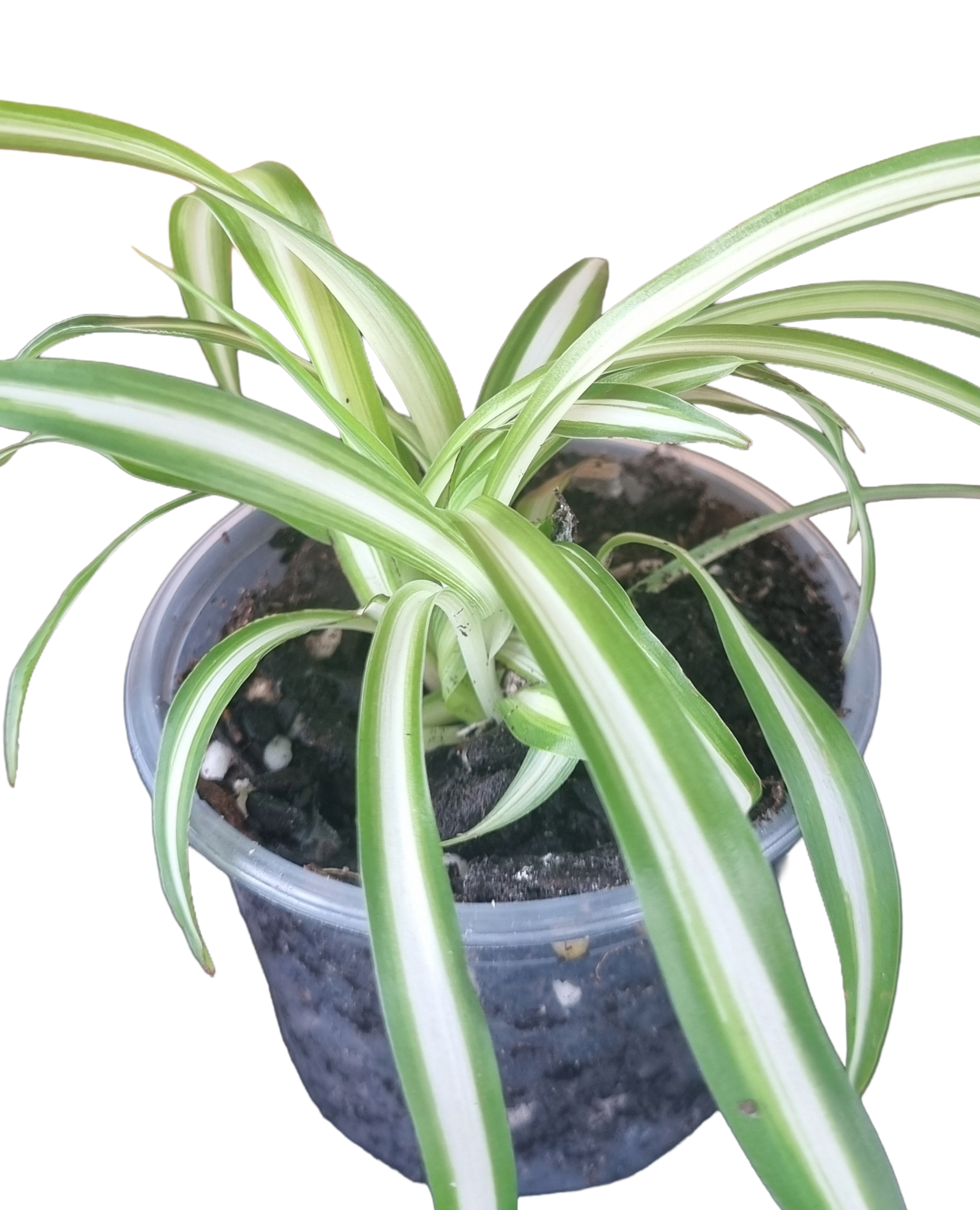 20260620_130333 (1).png