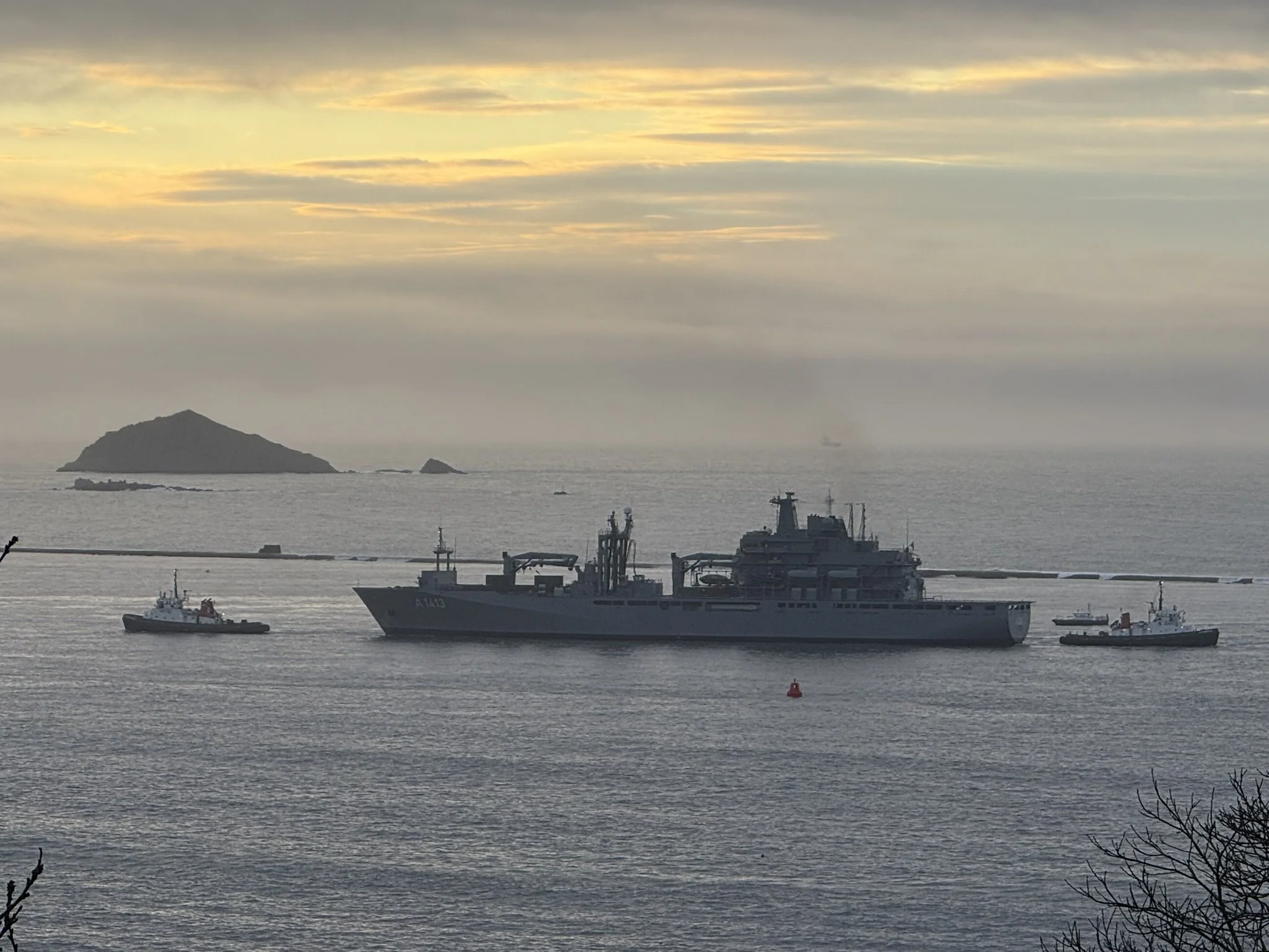A woman and a man looking at a piece of paper together, indoors with a lighthouse landscape picture on the wall and green plants in the background.