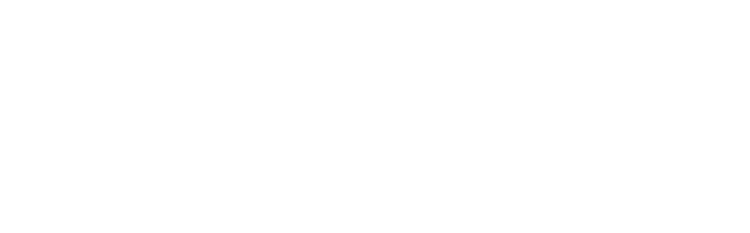 RSM (1).webp