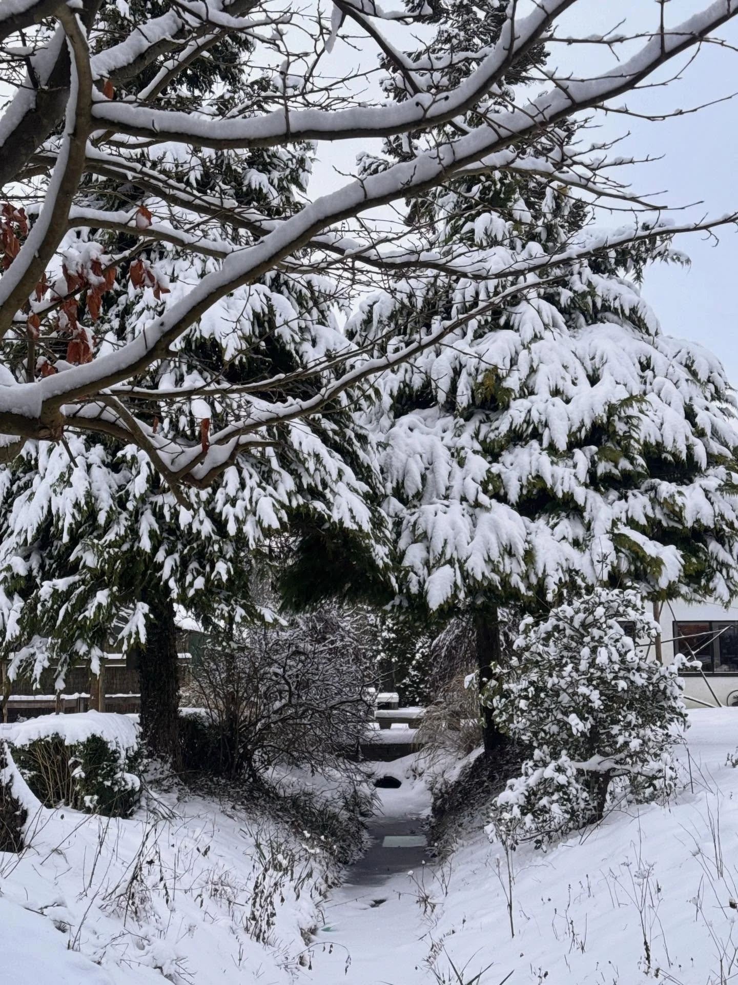 Flot vintervejr i ellebaek ❄️