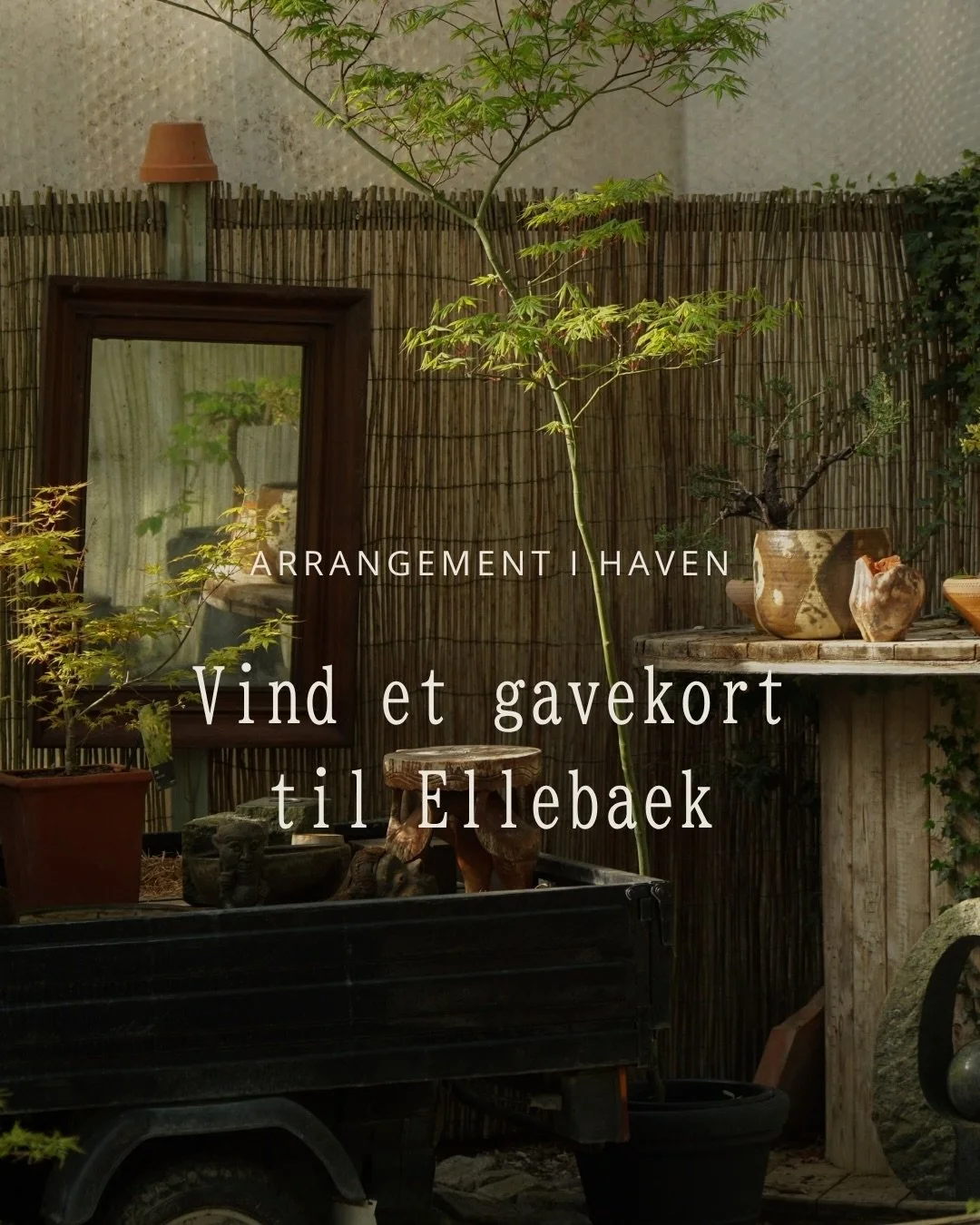 🪷 VIND ET GAVEKORT TIL ELLEBAEK 🪷

Vi fejrer vores antik &amp; botanik loppemarked med lidt ekstra fork&aelig;lelse&hellip;

P&aring; s&oslash;ndag den 10. maj inviterer vi til en hyggelig dag i haven i Ellebaek &ndash; og i den anledning udlodder 