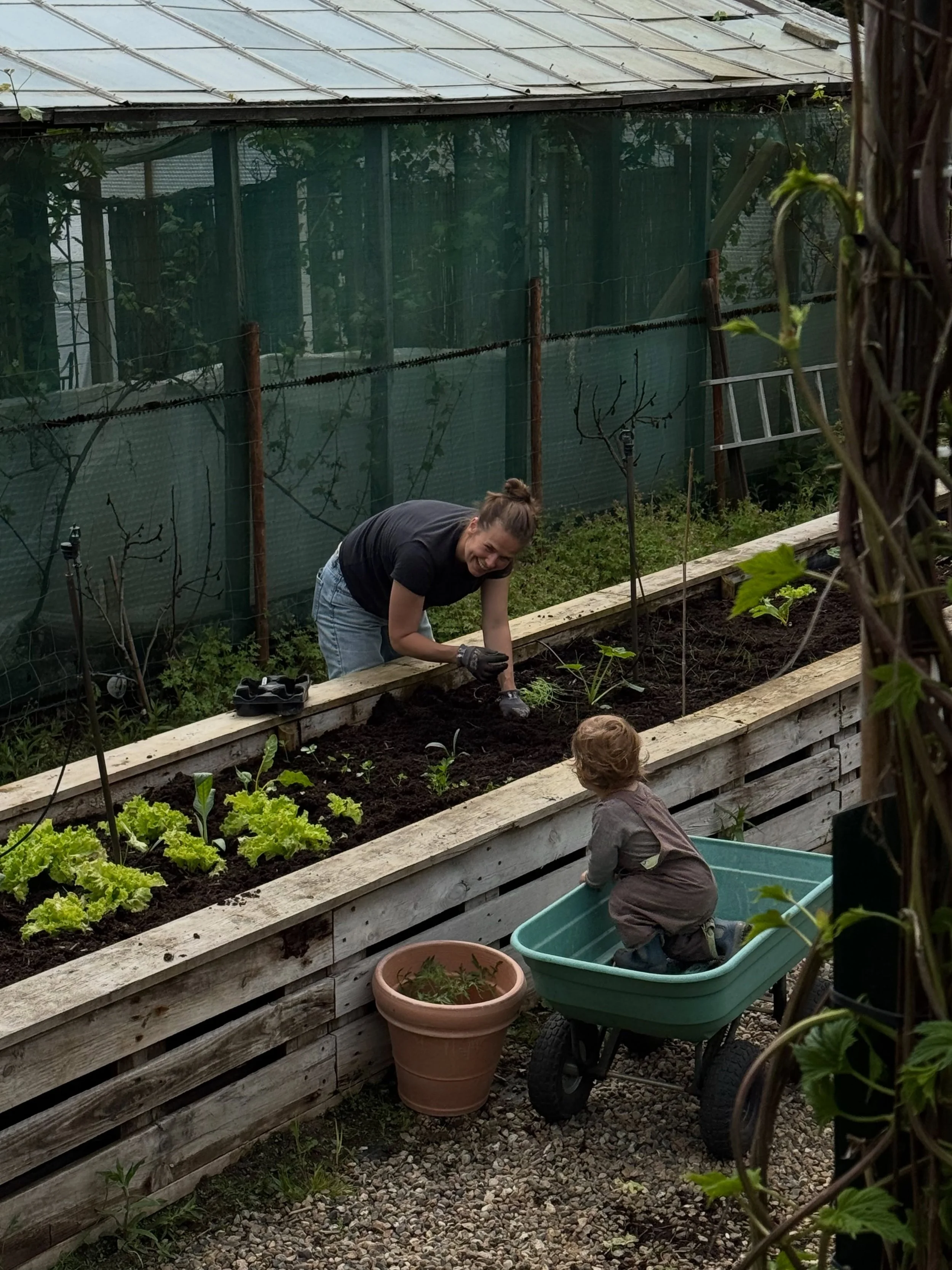 Julie og Olli arbejder p&aring; k&oslash;kkenhaven 🌱
B&oslash;nner, tomater og masser af gr&oslash;nt er p&aring; vej 🍅🫛 Snart kan vi ogs&aring; tilbyde en smagspr&oslash;ve p&aring; en plante, som du kan finde til din egen k&oslash;kkenhave hos o