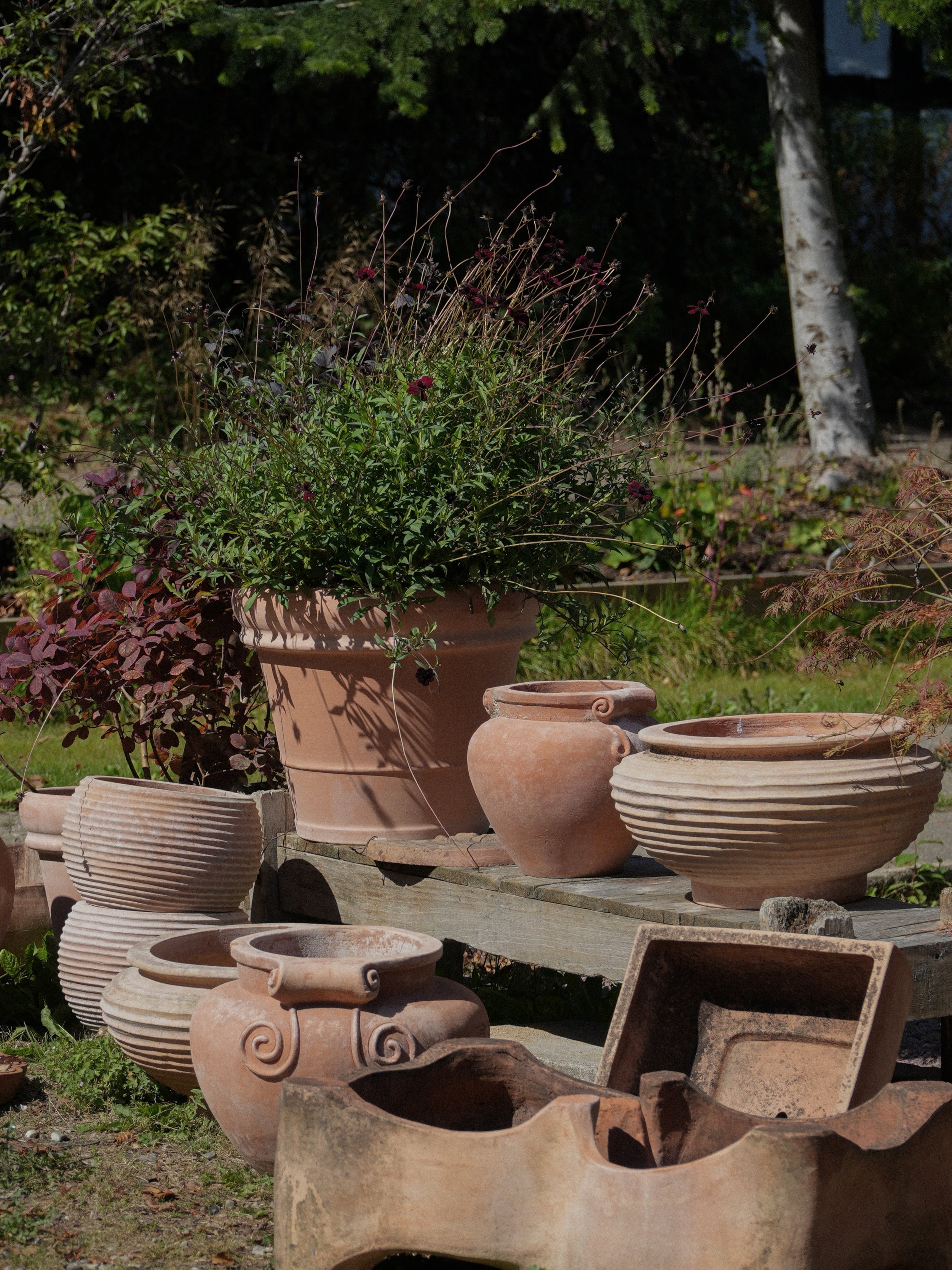 Haven er blevet fyldt op med lidt smukke unika terracotta krukker fra vores tur til Italien &mdash; alle sammen h&aring;ndlavede og helt deres egen. 

Kig forbi haven og se dem p&aring; egen h&aring;nd. Et lille stykke Italien, nu i haven hos Ellebae