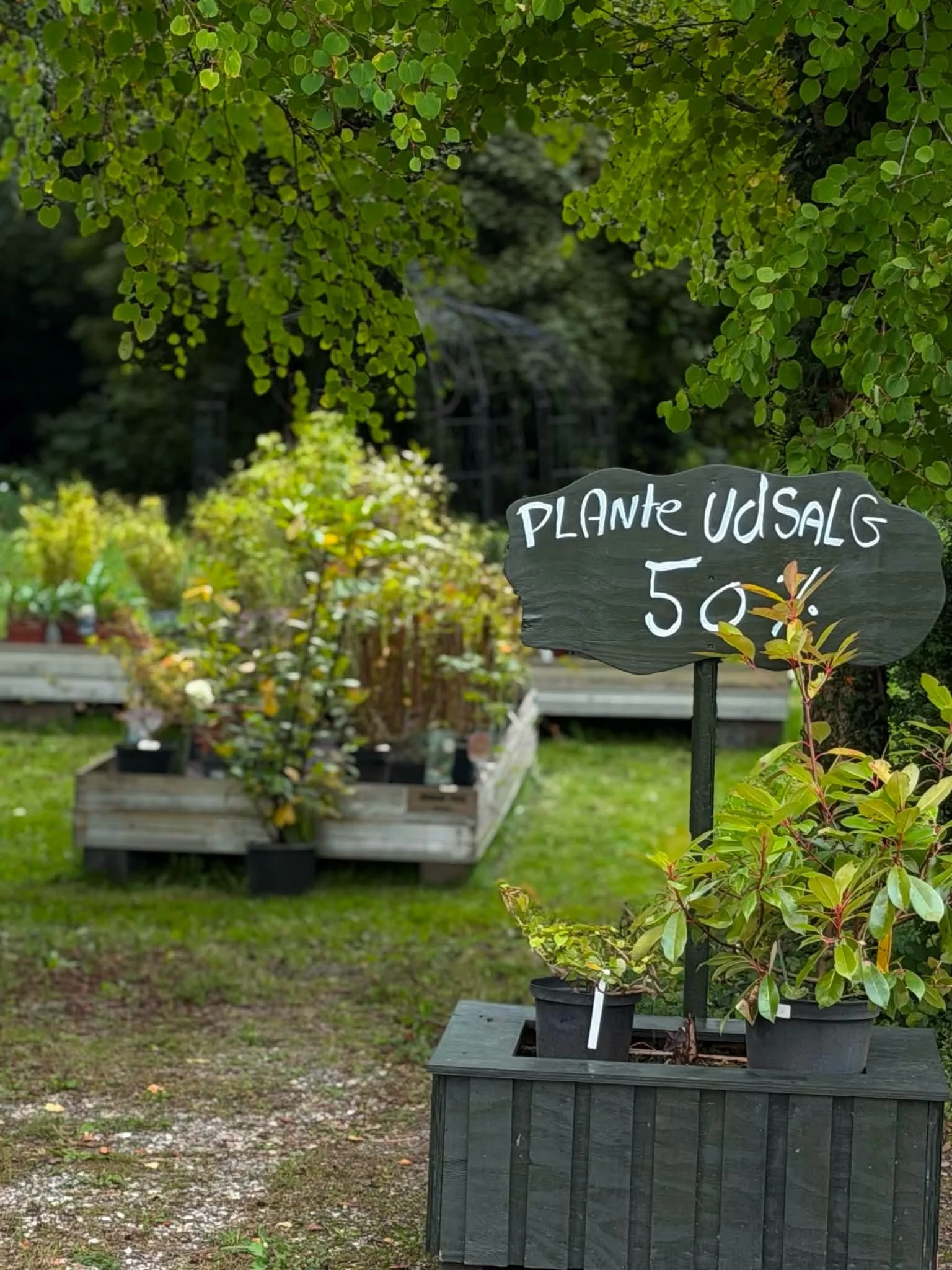 Sommeren g&aring;r p&aring; h&aelig;ld, men haves&aelig;sonen er langt fra slut. Den lune og fugtige jord giver tr&aelig;er, buske og stauder gode betingelser for at sl&aring; r&oslash;dder inden vinteren 🌱

Vi har netop f&aring;et masser af nye var