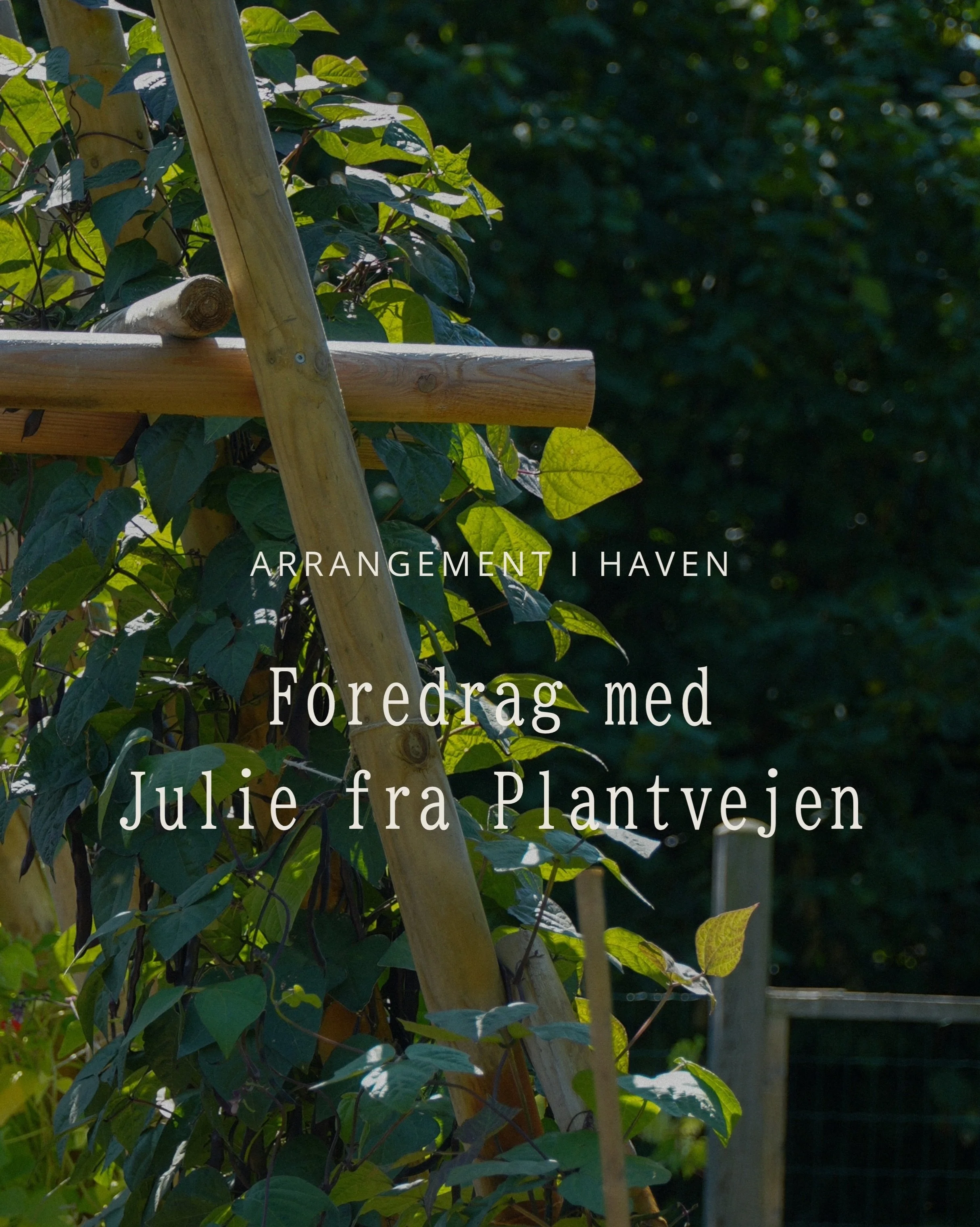 🌱 Dr&oslash;mmer du om en frodig k&oslash;kkenhave i 2027?

Kom med til en inspirerende aften hos Ellebaek l&oslash;rdag den 26. december kl. 19.00&ndash;20.30, hvor vi sammen tager hul p&aring; planerne for n&aelig;ste &aring;rs k&oslash;kkenhave.
