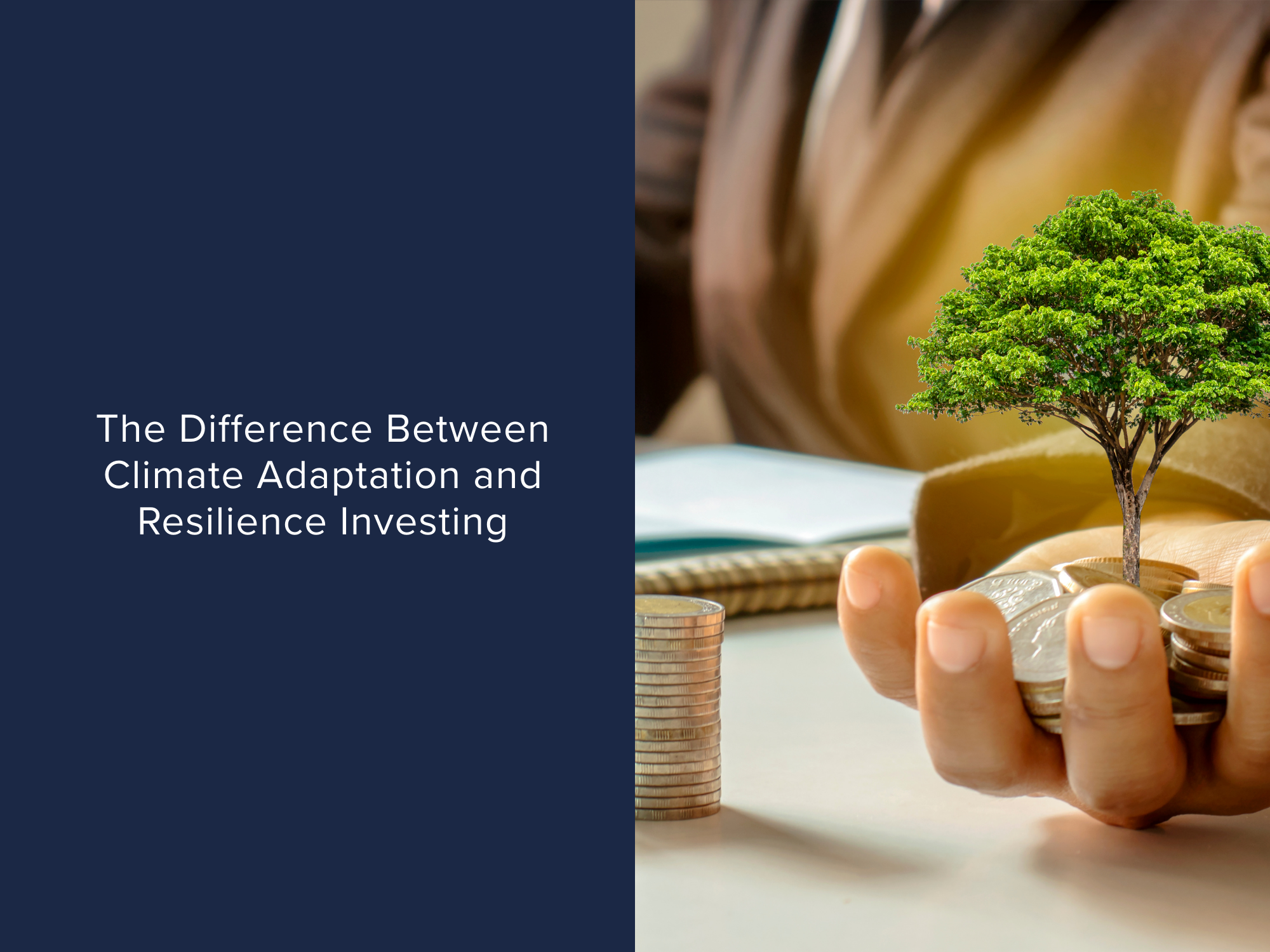 The Difference Between Climate Adaptation and Resilience Investing