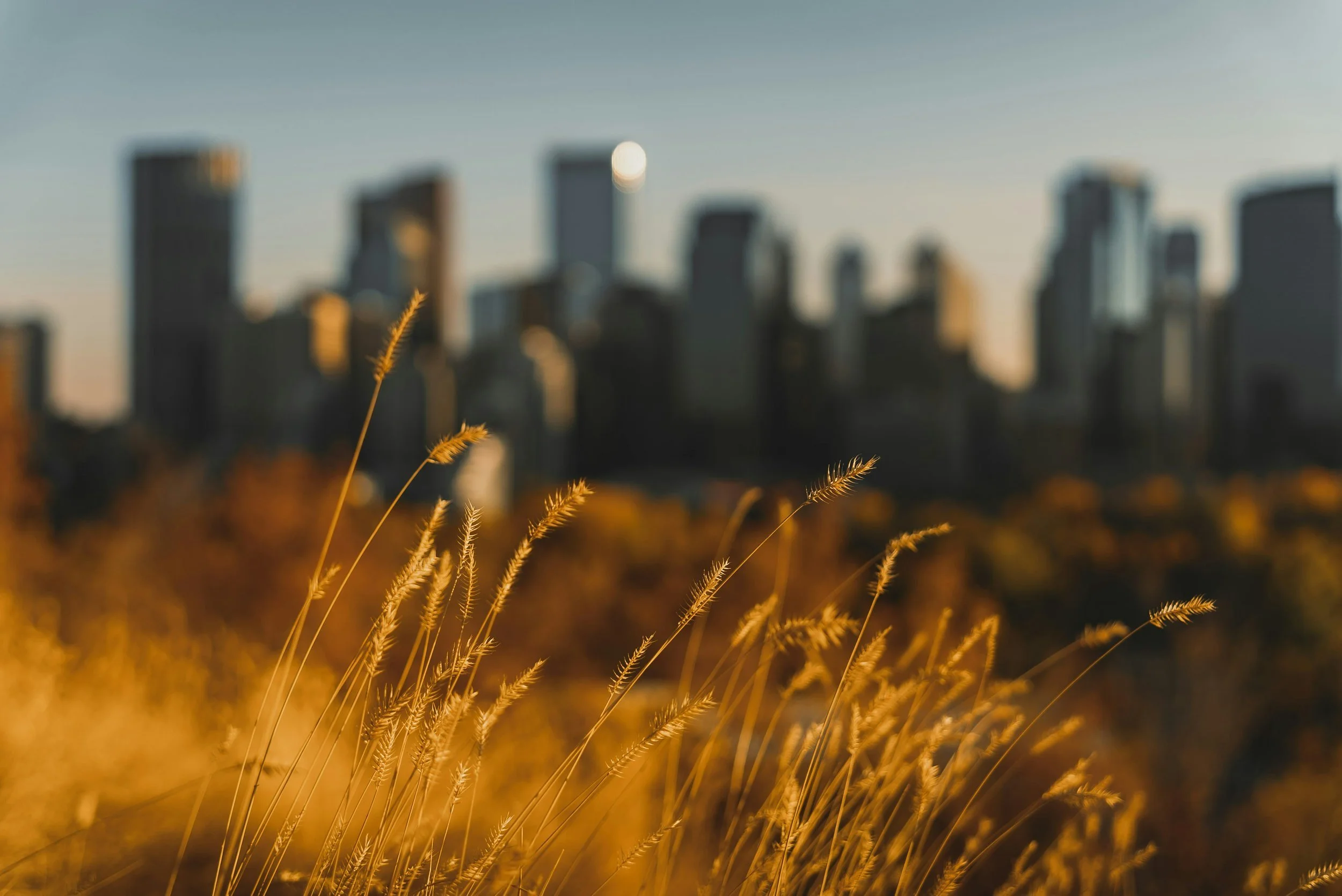 Power Tools for Pension Transparency and Accountability on Climate&nbsp;