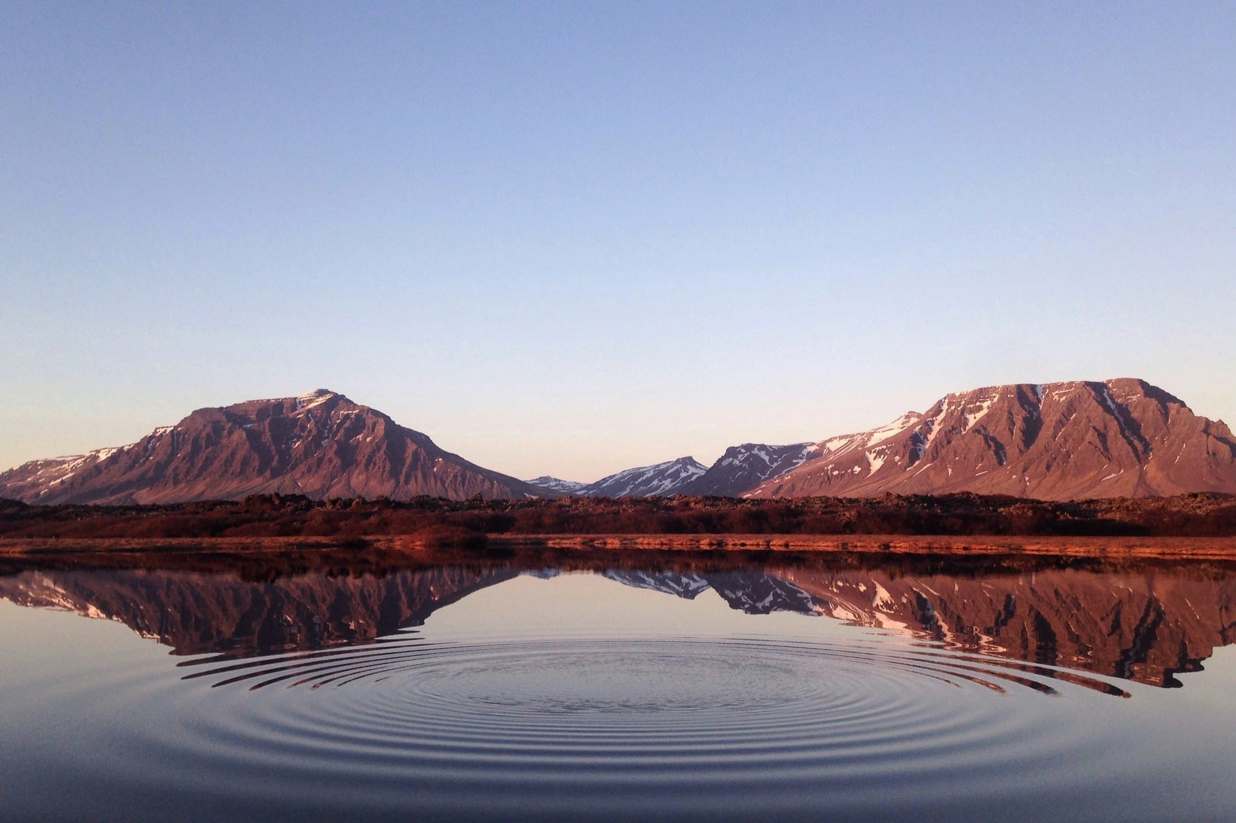 Systemic Risk: A Ripple Effect in a Pond