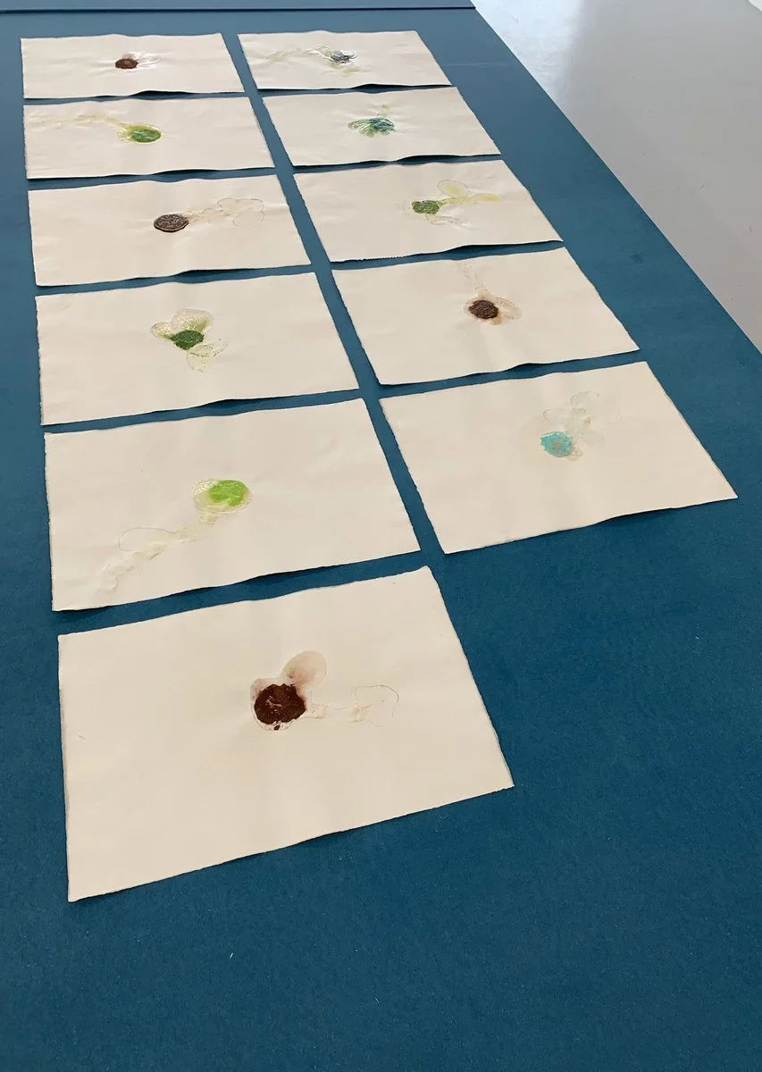 IMG_4880 (kopia)_1200.jpg