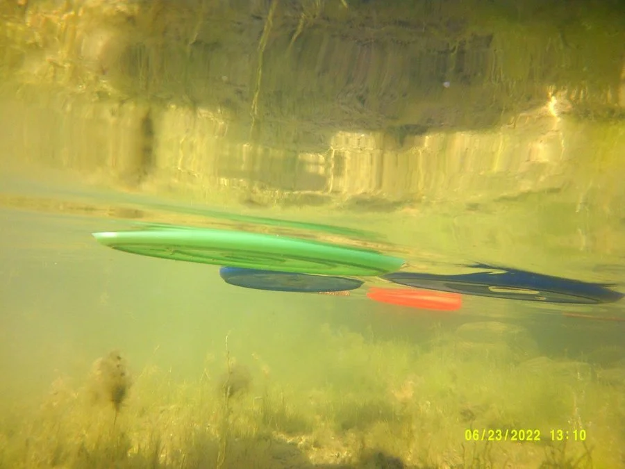 DSCF0046 (kopia 2)_1200.jpg