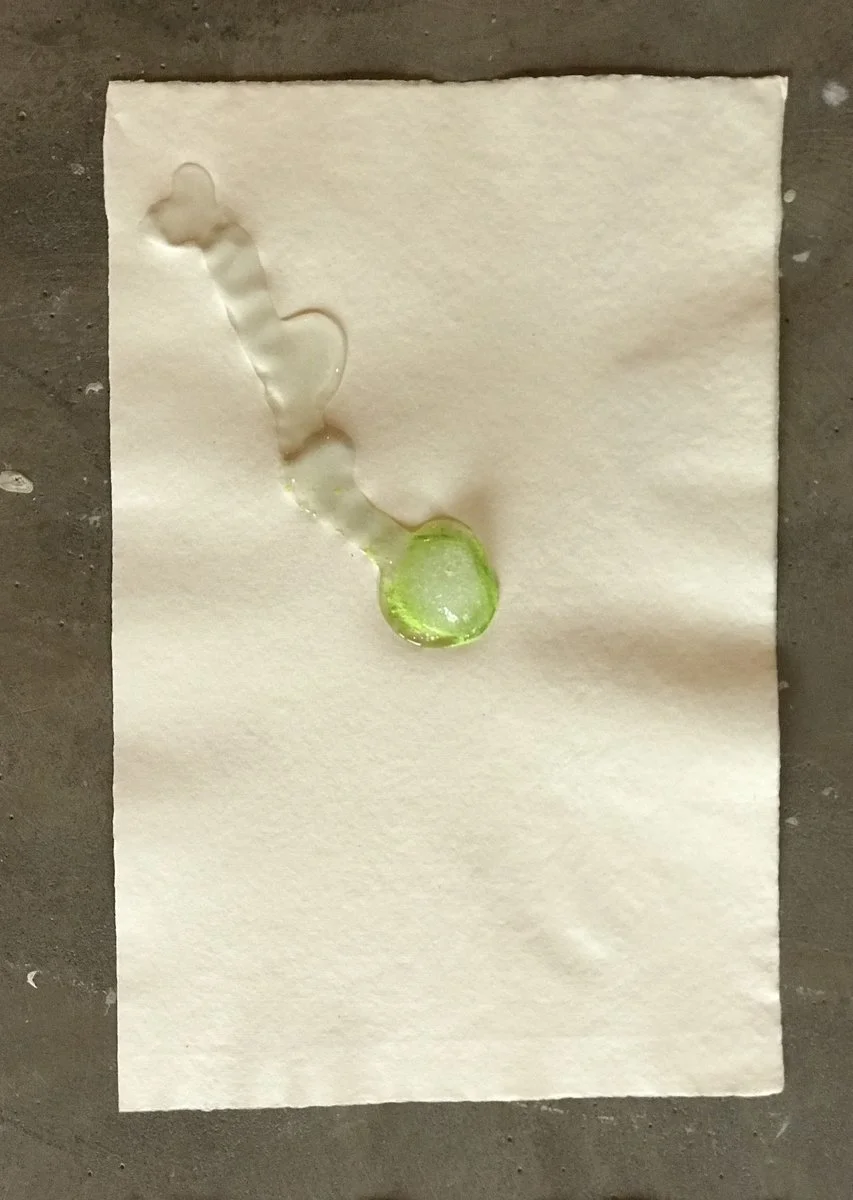 IMG_2442 (kopia)_1200.jpg