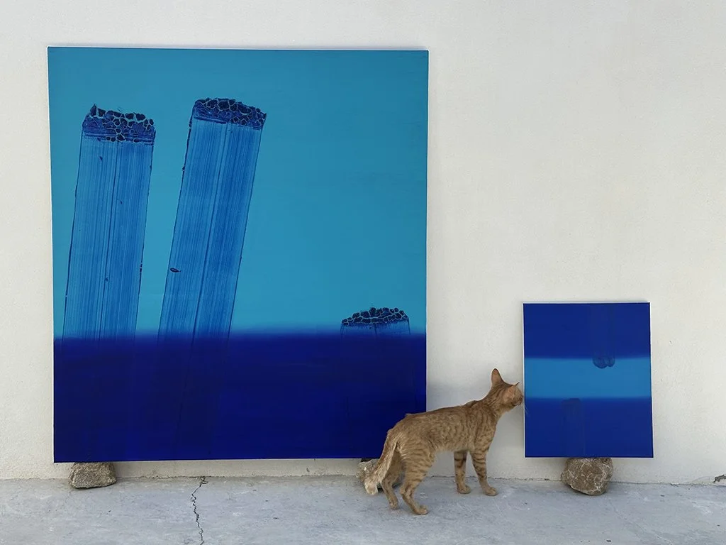 A cat is walking in front of two blue abstract paintings leaning against a white wall, with rocks placed under the paintings for support.