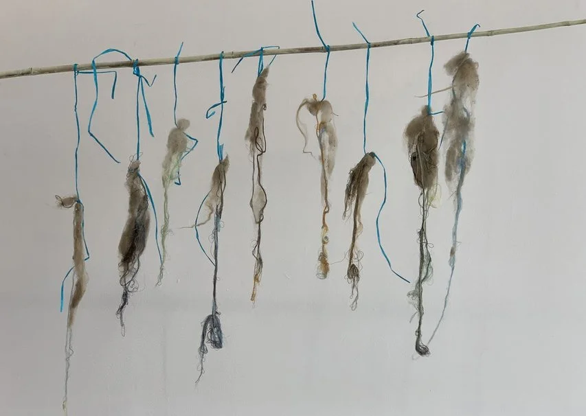 IMG_4838 (kopia)_1200.jpg