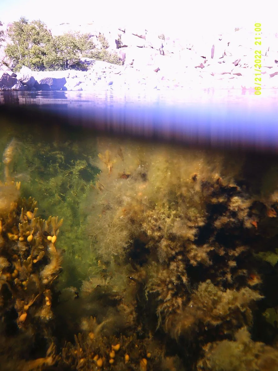 DSCF0026 (kopia 2)_1200.jpg