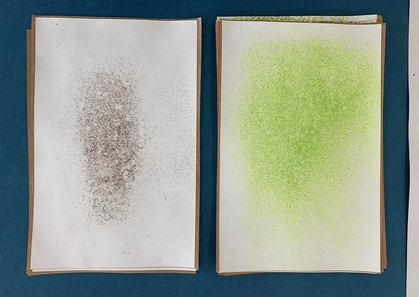 IMG_4792 (kopia)_1200.jpg