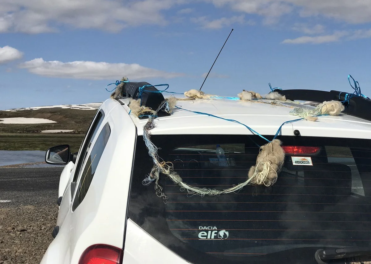 IMG_2579 (kopia)_1200.jpg