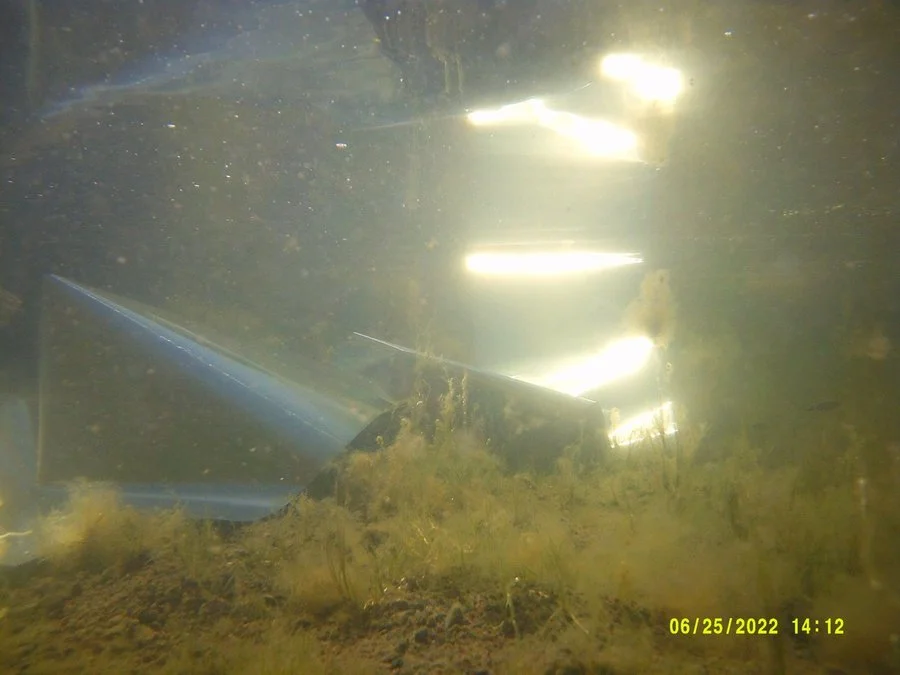 DSCF0162 (kopia 2)_1200.jpg