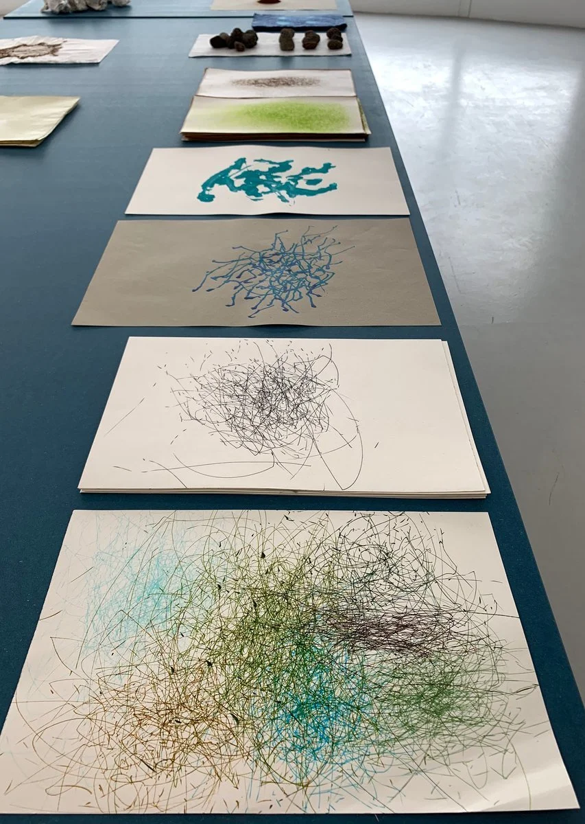 IMG_4820 (kopia)_1200.jpg