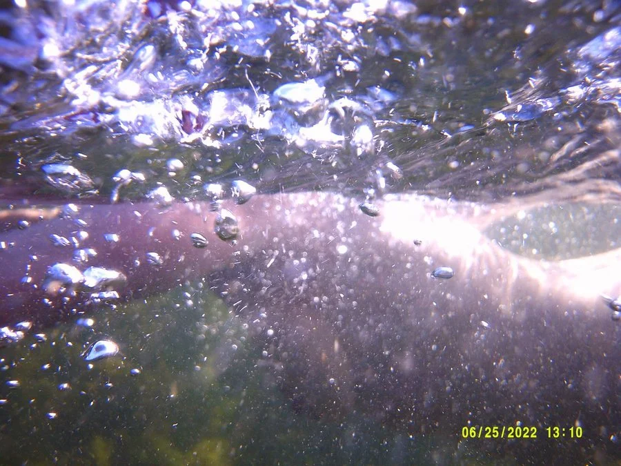 DSCF0063 (kopia 2)_1200.jpg