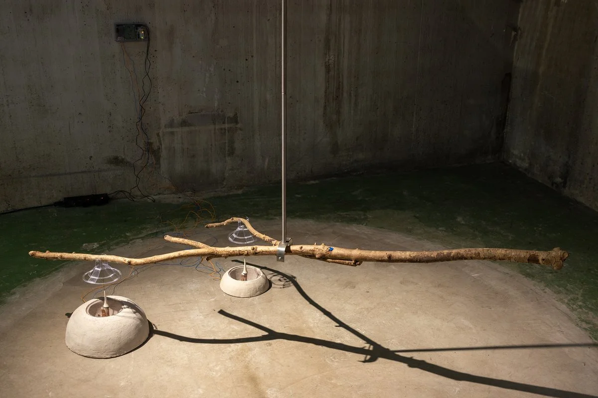 IMG_0003_1-Heat-Energy_Photo by Martin A╠èlund_1200.jpg