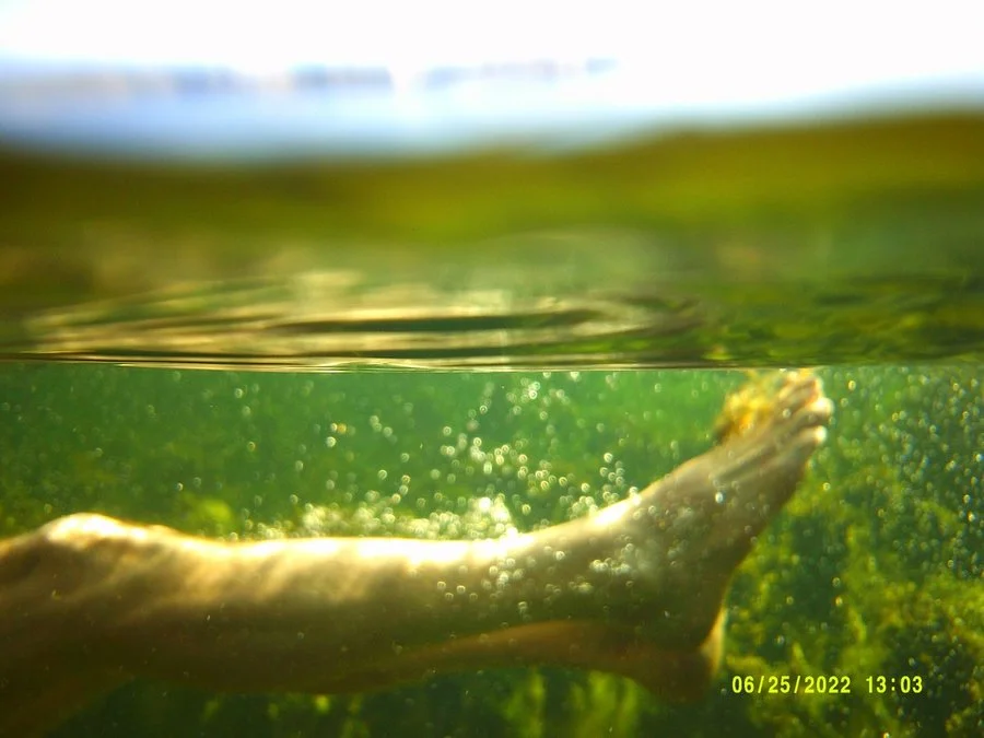 DSCF0023 (kopia) 2 (kopia)_1200.jpg