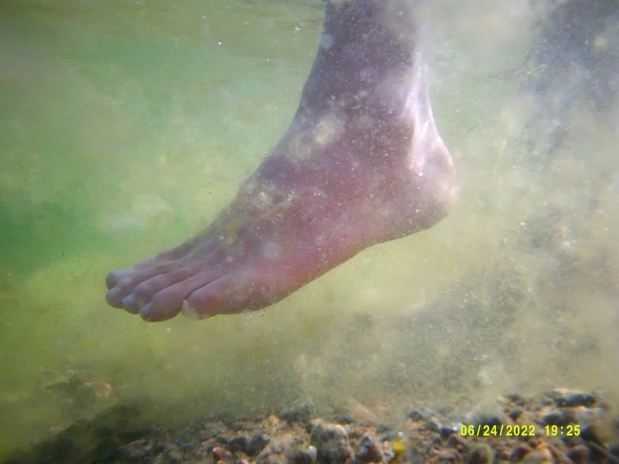 DSCF0073 (kopia 2)_1200.jpg