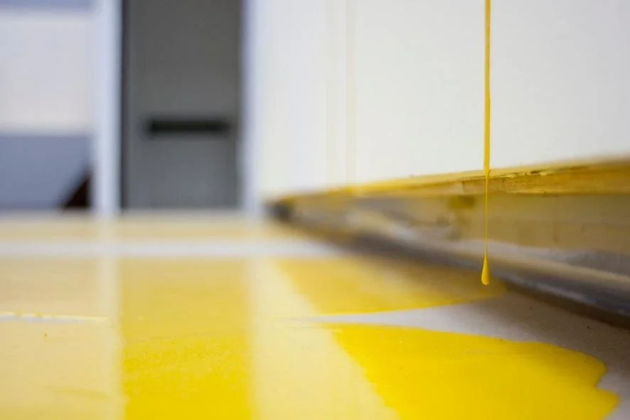 420141_10151492236374385_1373428269_n (kopia).jpg