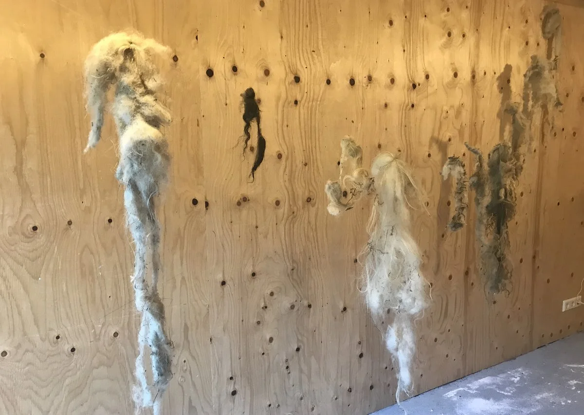 IMG_2375 (kopia)_1200.jpg