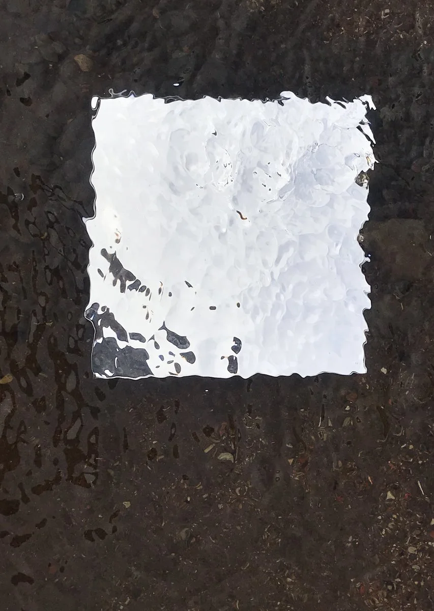 IMG_2327 (kopia)_1200.jpg