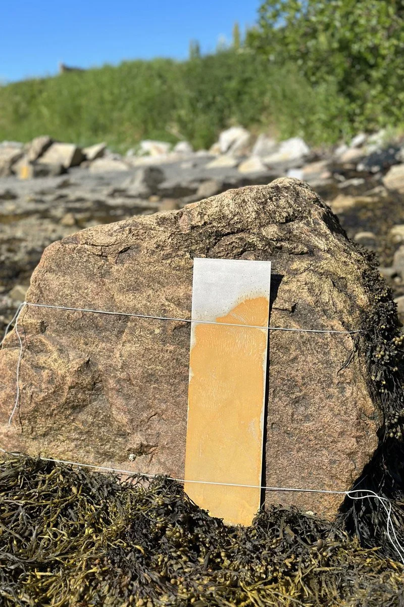 Tide, Salangen Biennale, Norway, 2023