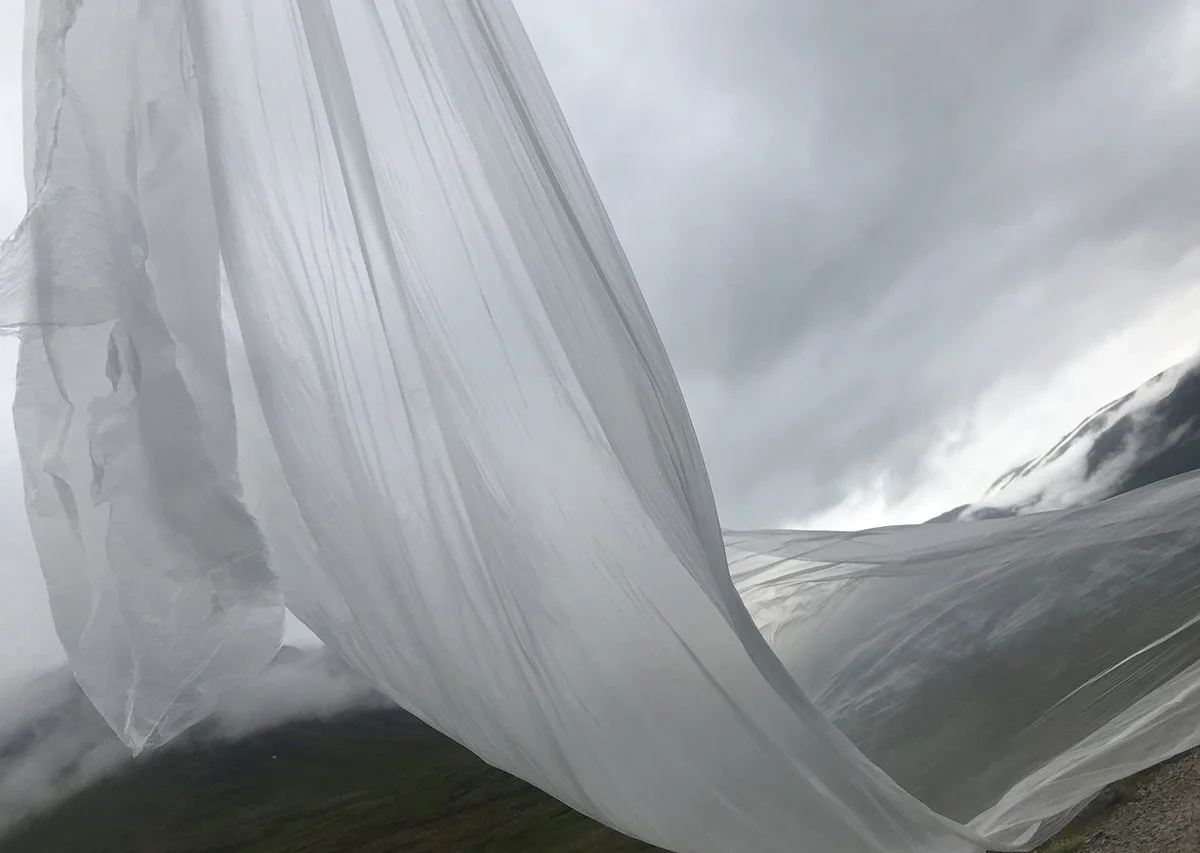 IMG_3548 (kopia)_1200.jpg