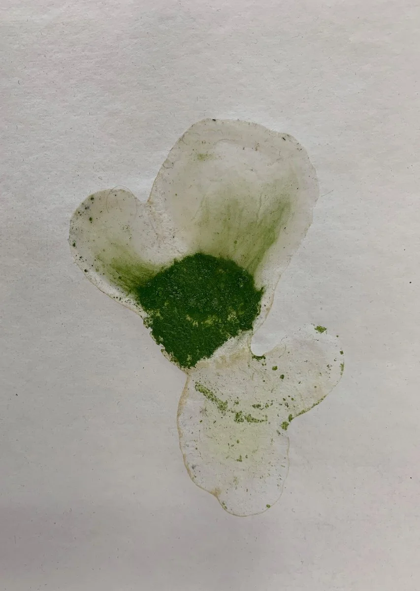 IMG_4885 (kopia)_1200.jpg