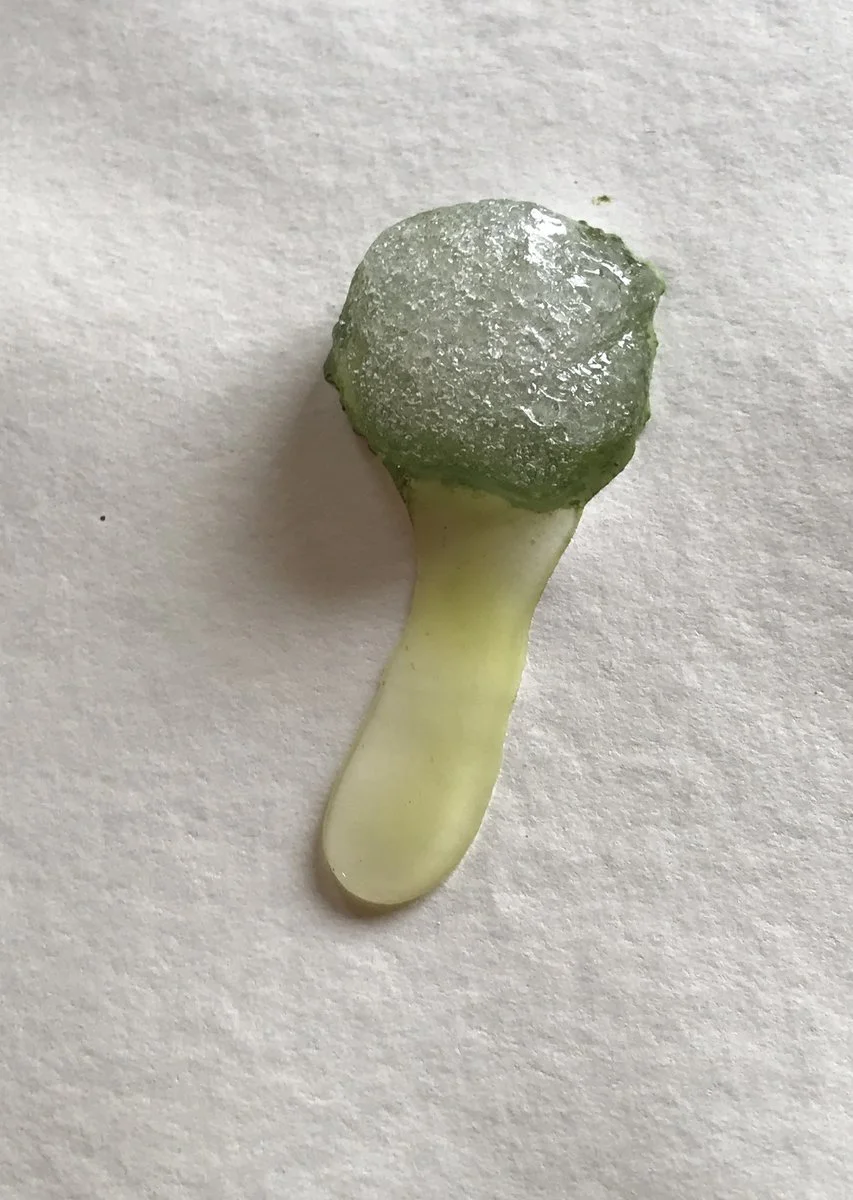 IMG_2426 (kopia)_1200.jpg