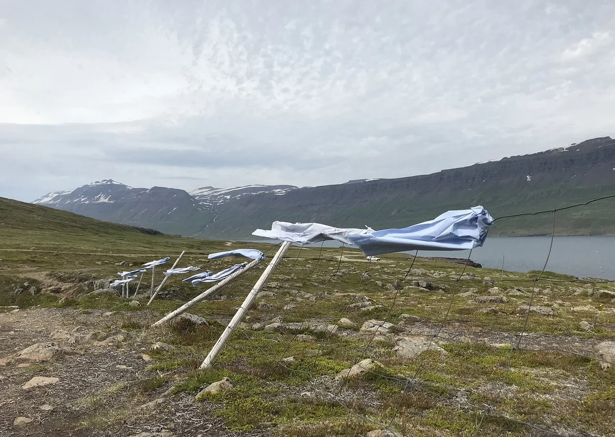 IMG_3479 (kopia)_1200.jpg