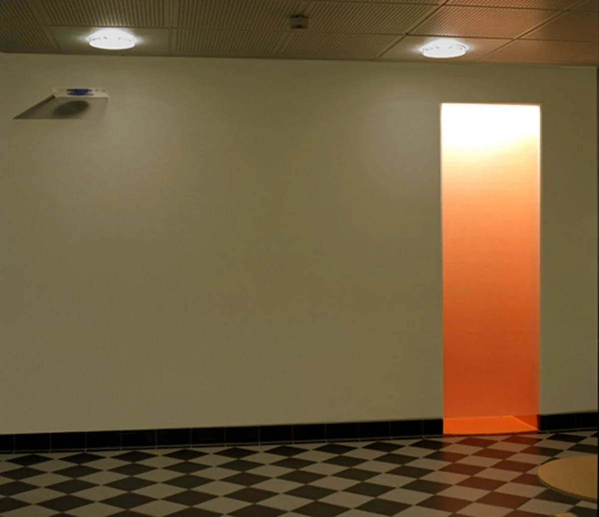 torbjorn_johansson_the_trap_27.malmoplantva1 (kopia)_1200_85.jpg