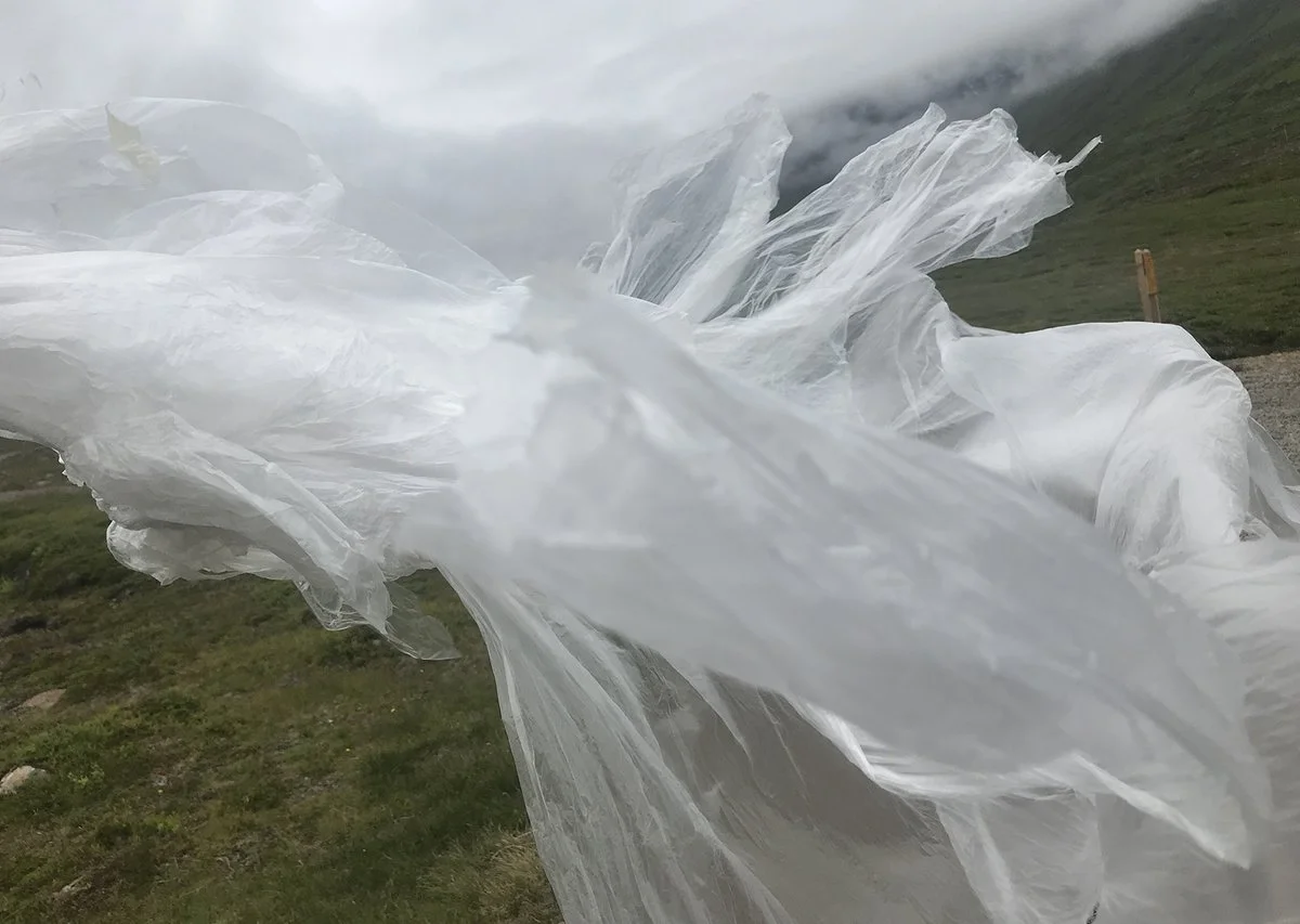 IMG_3523 (kopia)_1200.jpg