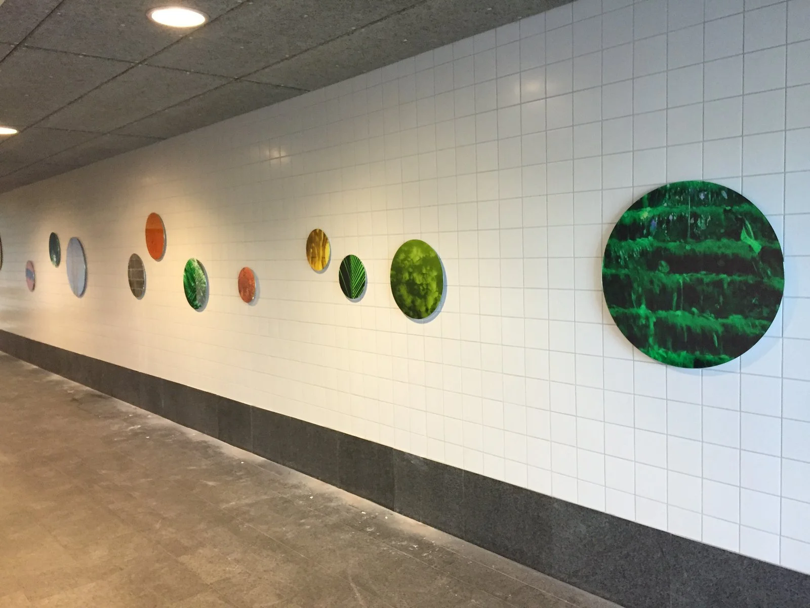 150528_6250 (kopia).JPG