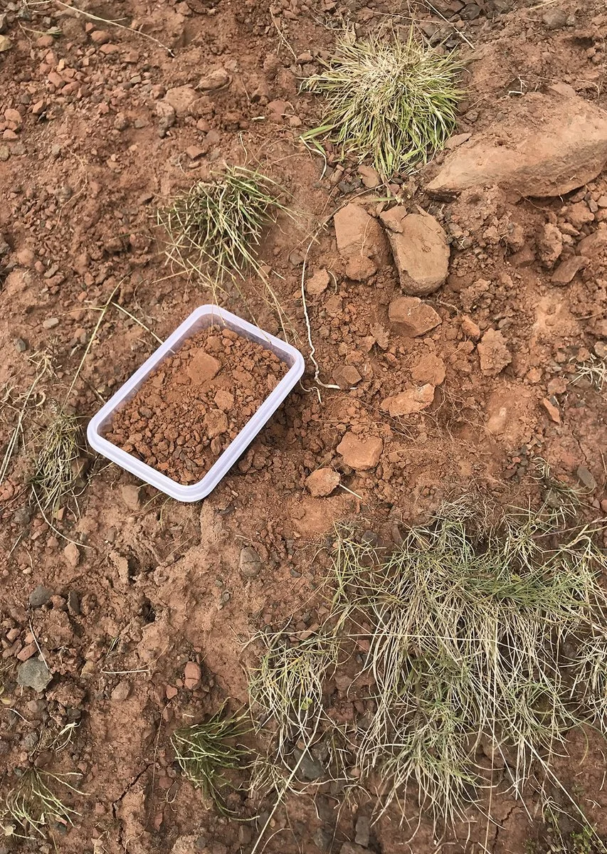 IMG_2170 (kopia)_1200.jpg