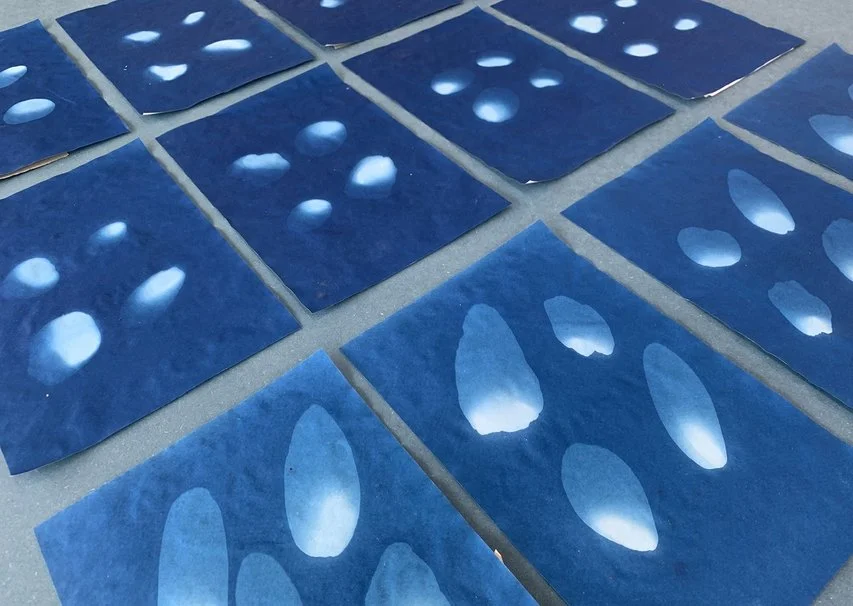 IMG_4856 (kopia)_1200.jpg