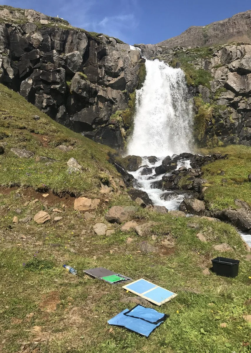 IMG_2548 (kopia)_1200.jpg